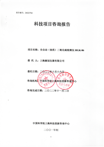 科技项目咨询报告